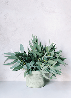 Photo by Daria Shevtsova from Pexels