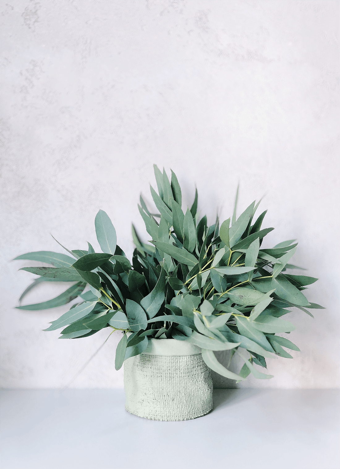 Photo by Daria Shevtsova from Pexels